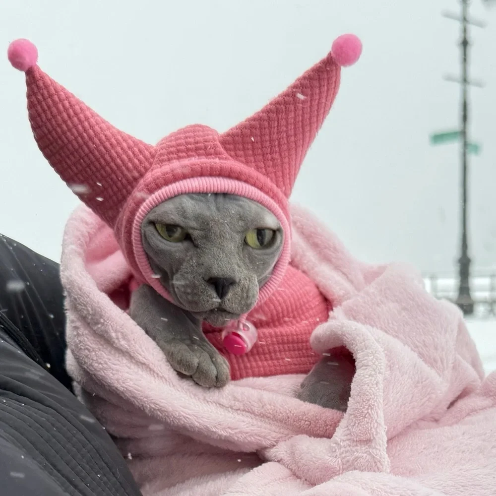 Cat onesie and hat